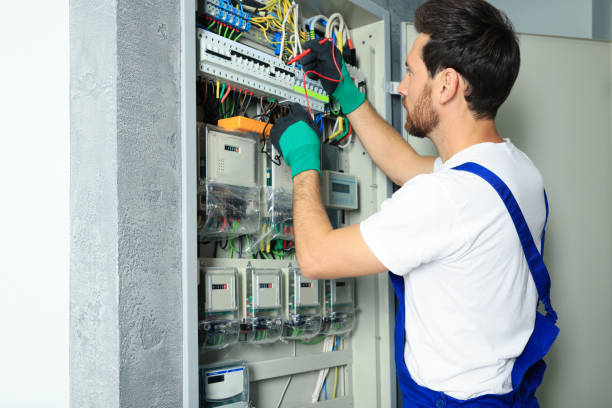 Best Electrician for Home Renovation  in Hlsboro, IL